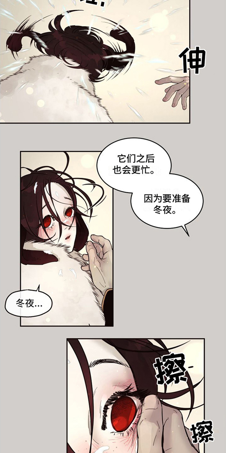 第18章：北极兔：选择权2