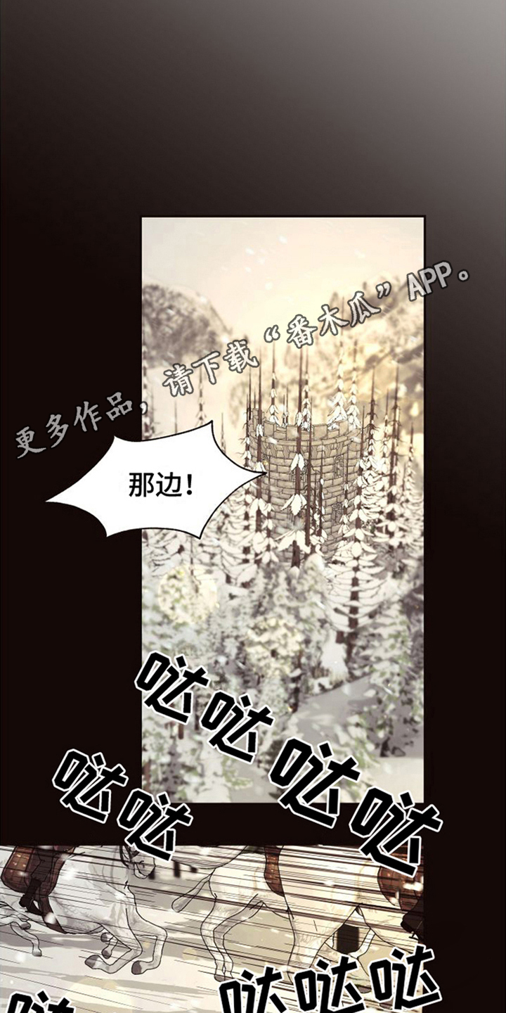第16章：北极兔：支配者9