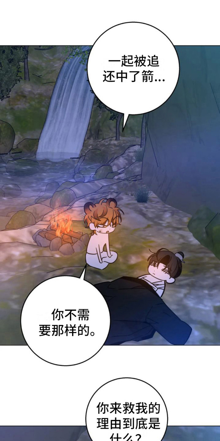 第46章：乱入的老虎：笨蛋5