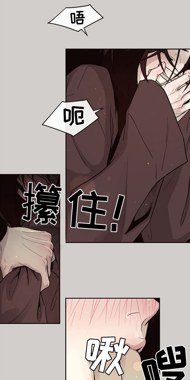 第17章：北极兔：跟随5