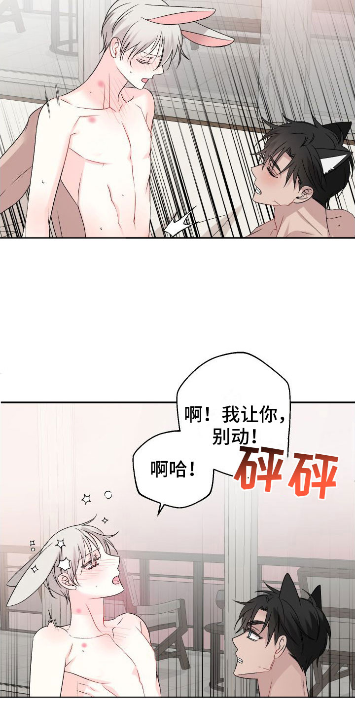 第34章：订婚骗局：真的喜欢【完】11