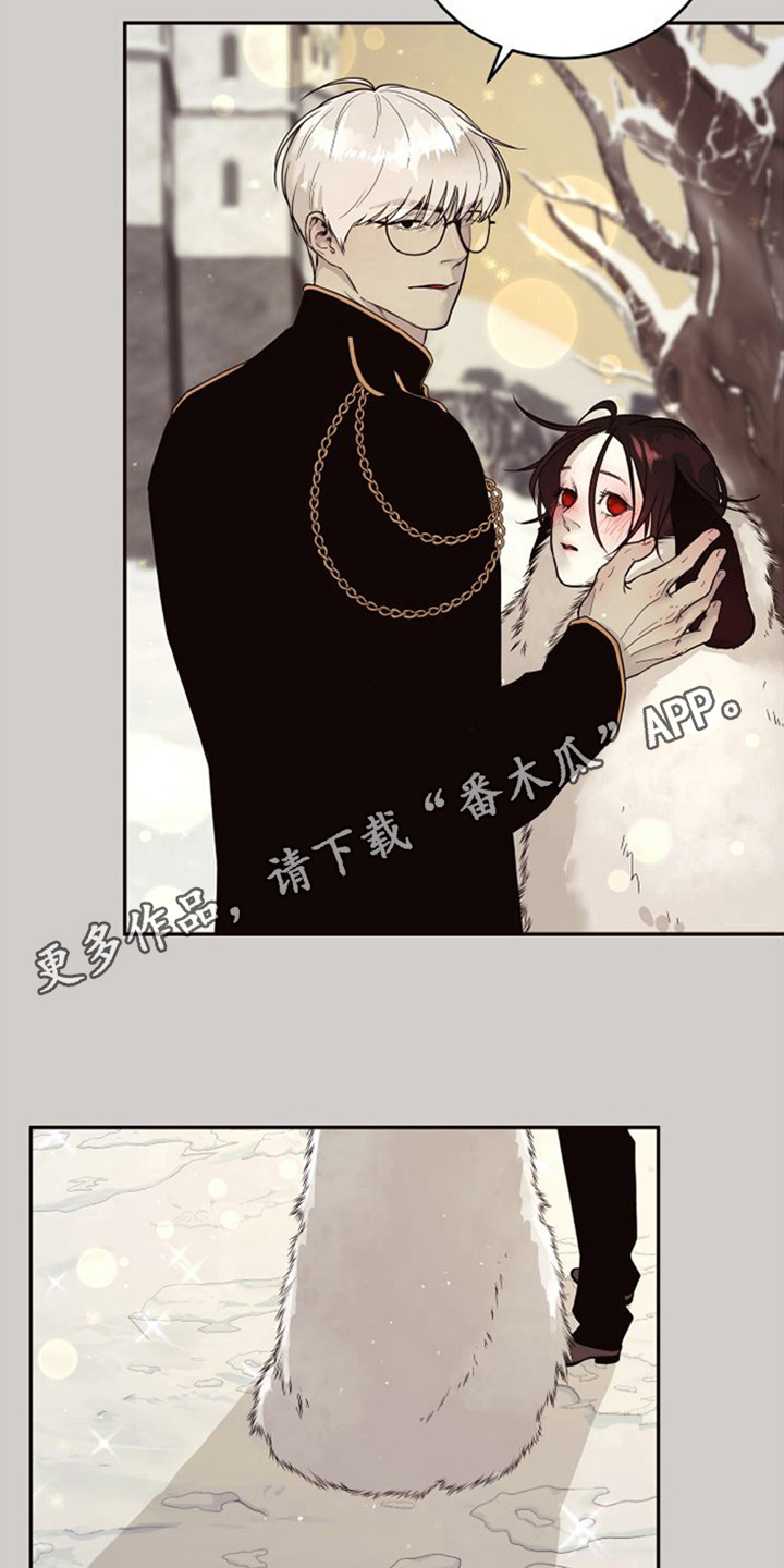 第18章：北极兔：选择权4