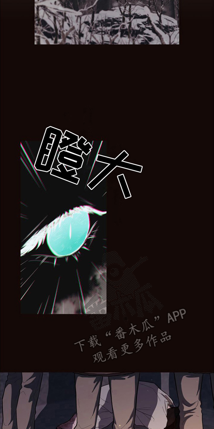 第20章：北极兔：出事了12