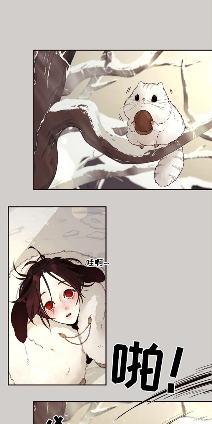 第18章：北极兔：选择权0