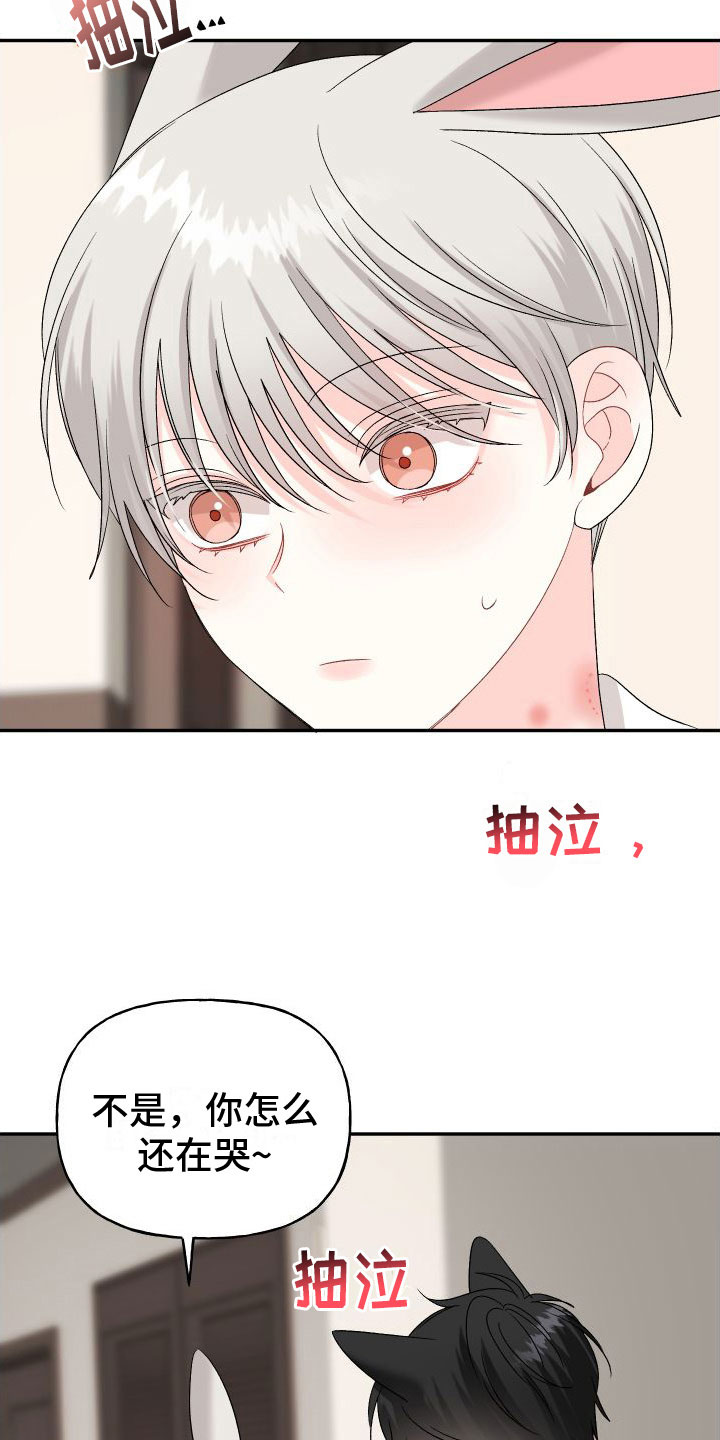 第33章：订婚骗局：再来一次1