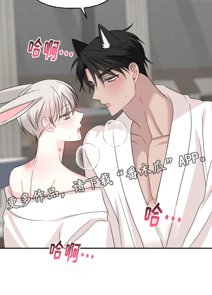 第33章：订婚骗局：再来一次28