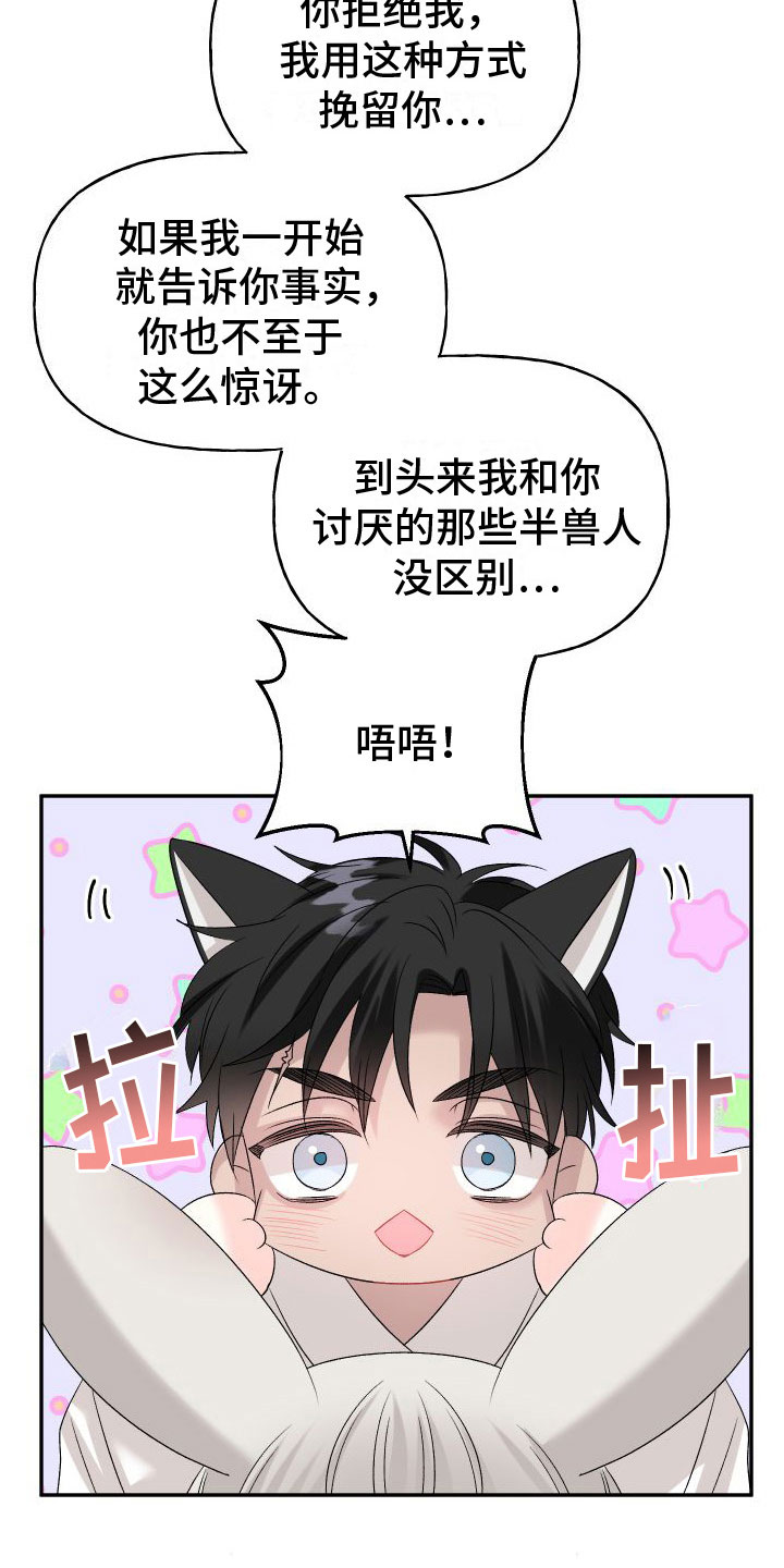 第33章：订婚骗局：再来一次13