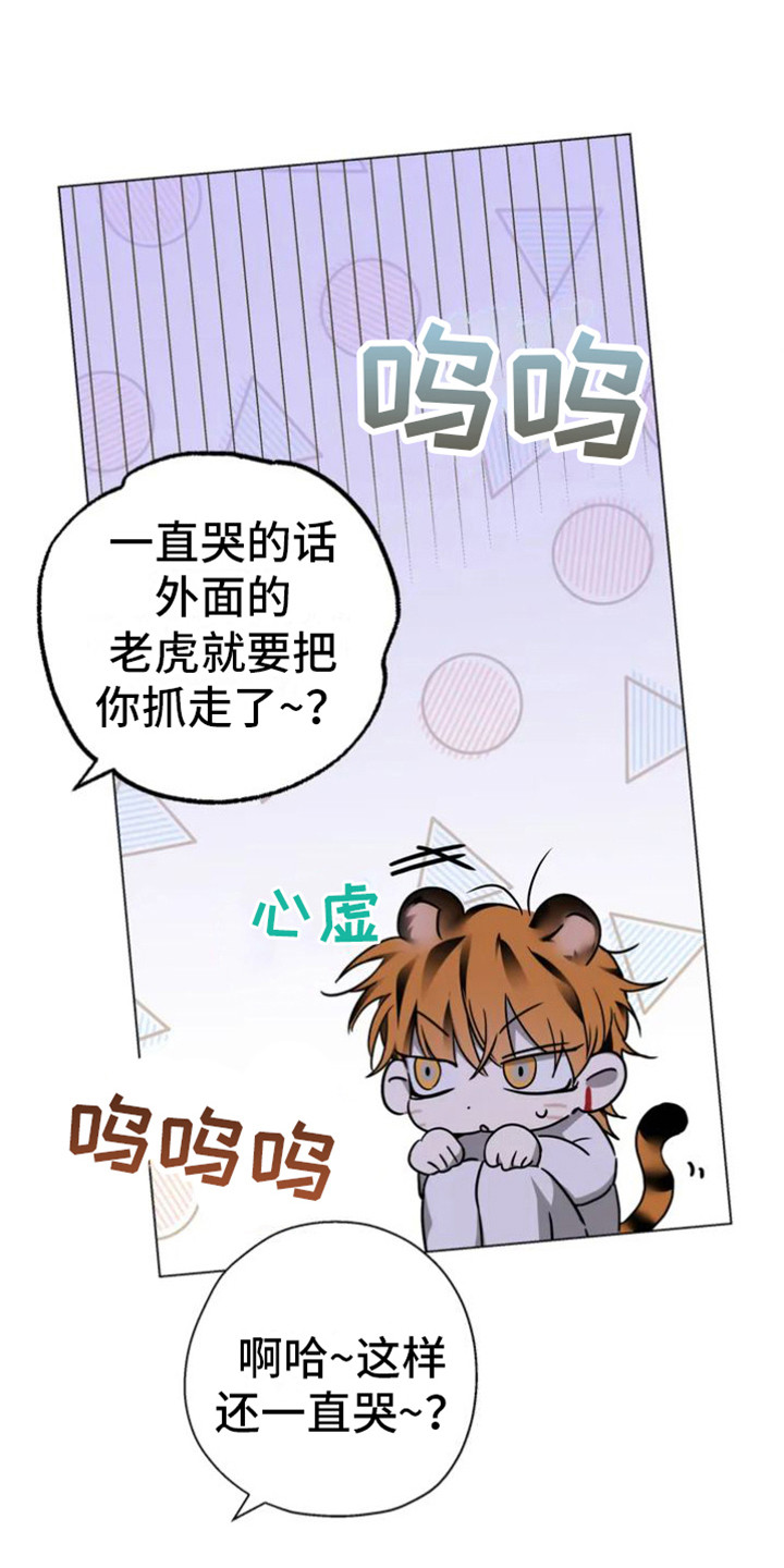 第35章：乱入的老虎：柿饼9