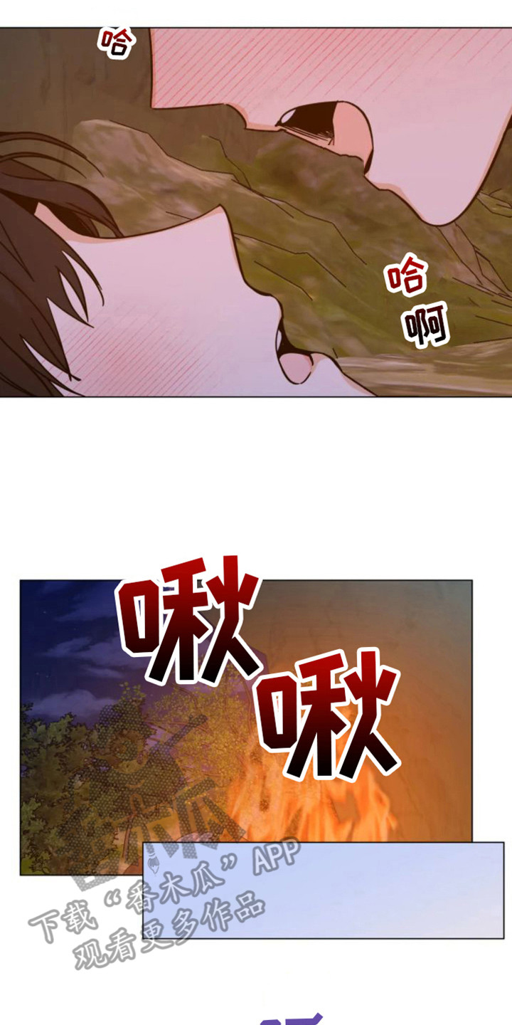 第46章：乱入的老虎：笨蛋13