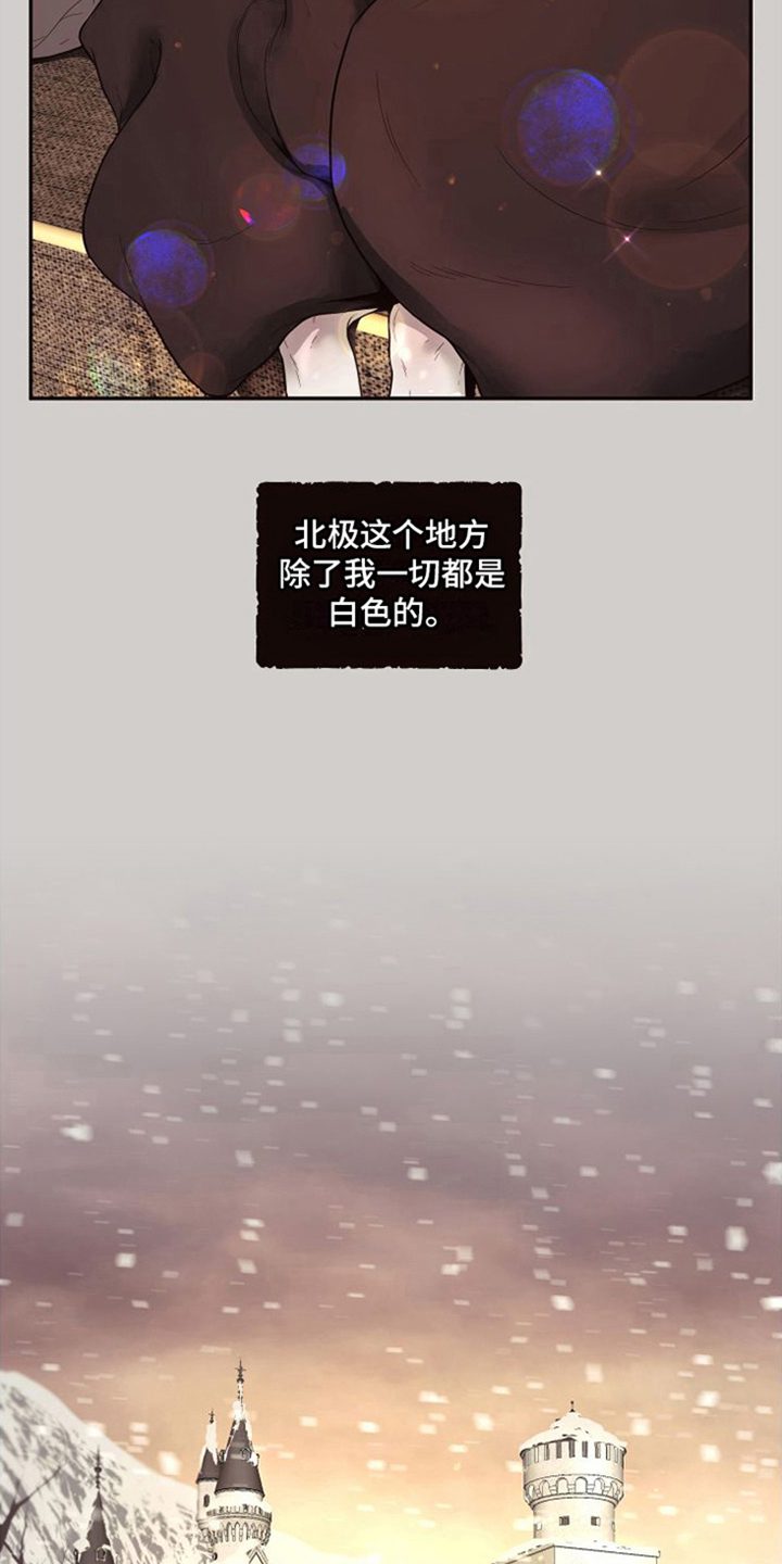 第15章：北极兔：雪国9