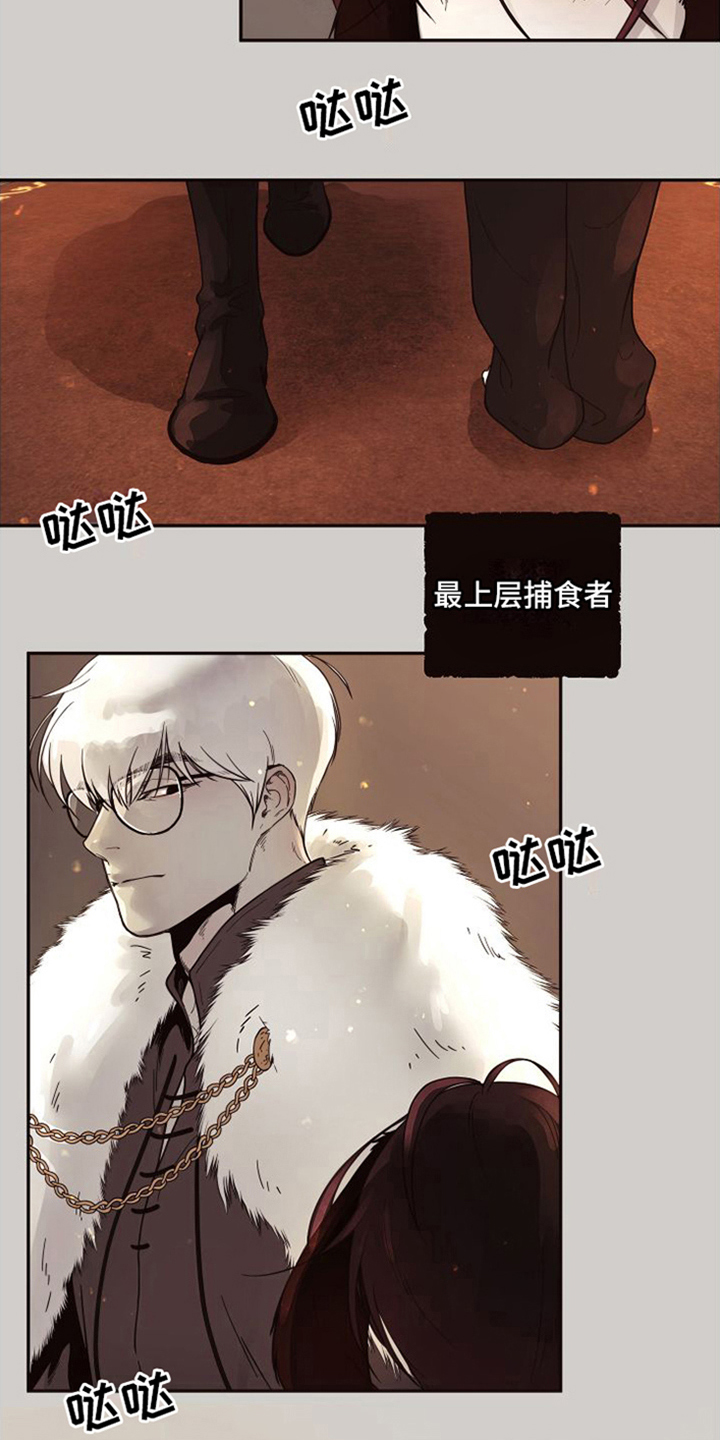 第16章：北极兔：支配者14