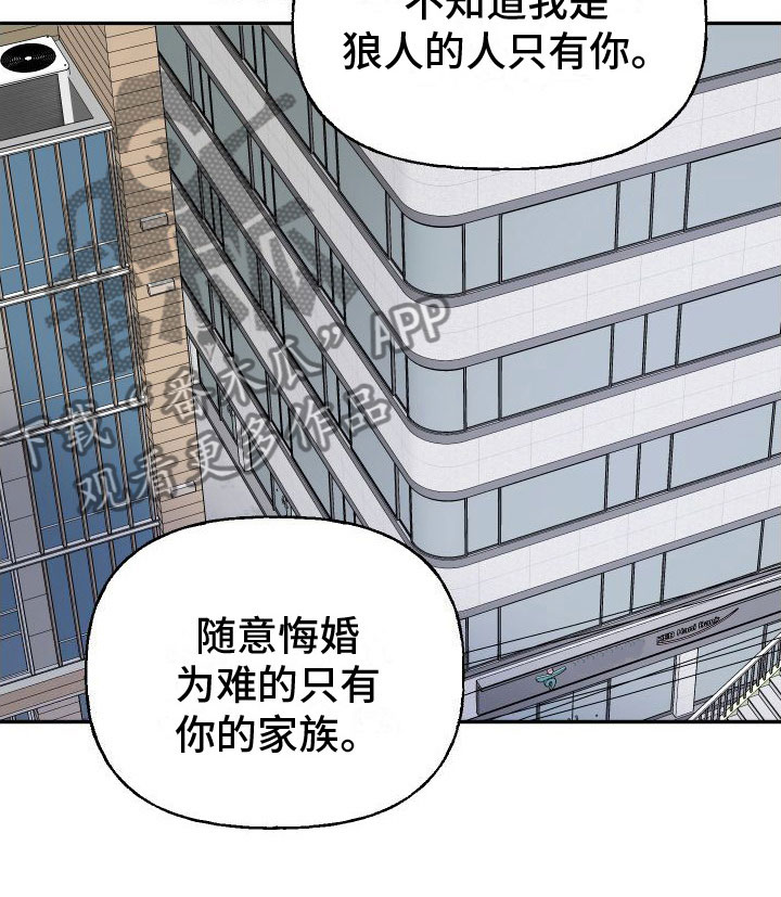 第28章：订婚骗局：满足我17