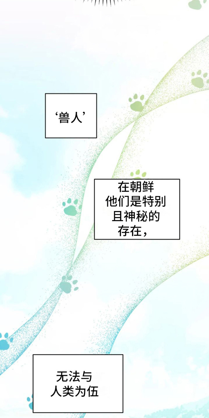 第39章：乱入的老虎：好奇2