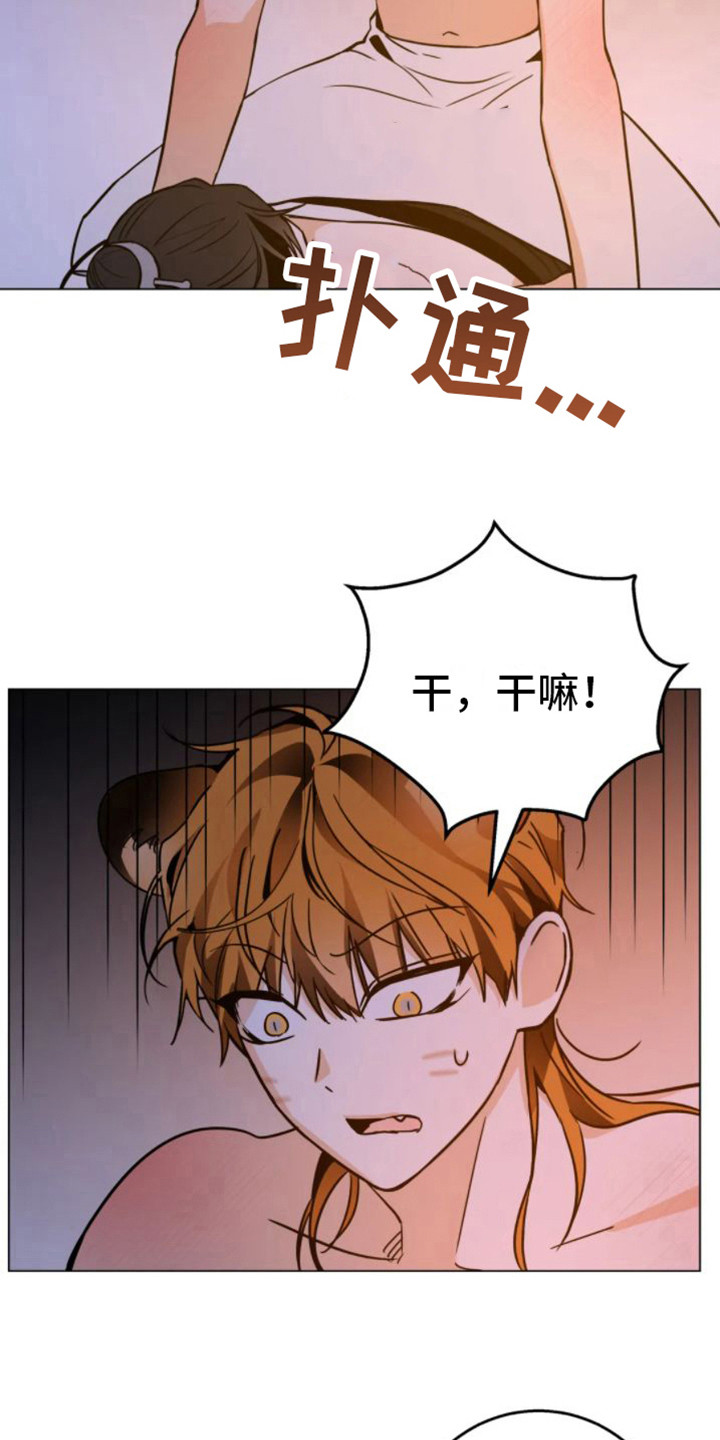 第46章：乱入的老虎：笨蛋8