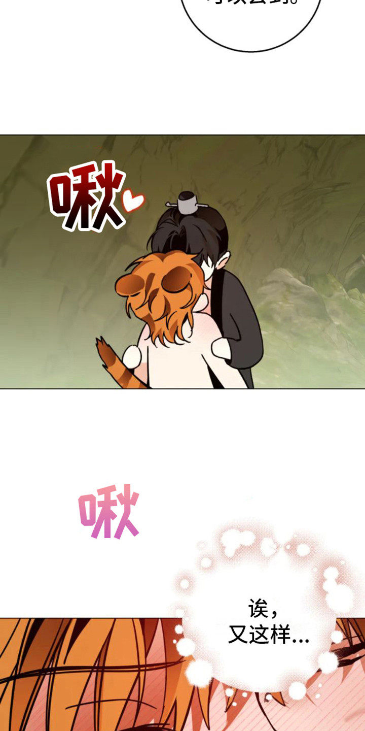 第47章：乱入的老虎：非常甜（完）11
