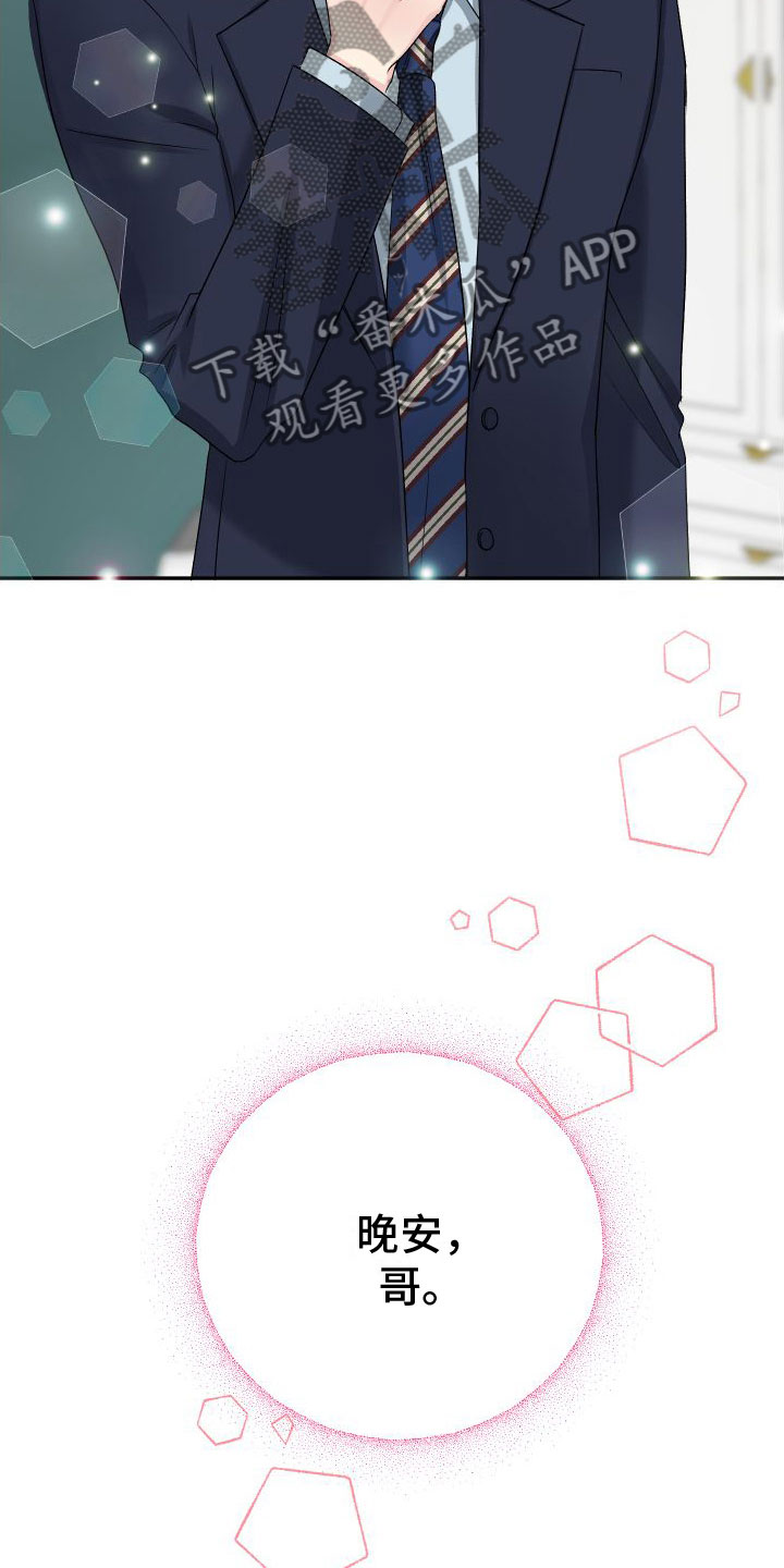 第27章：订婚骗局：见面8