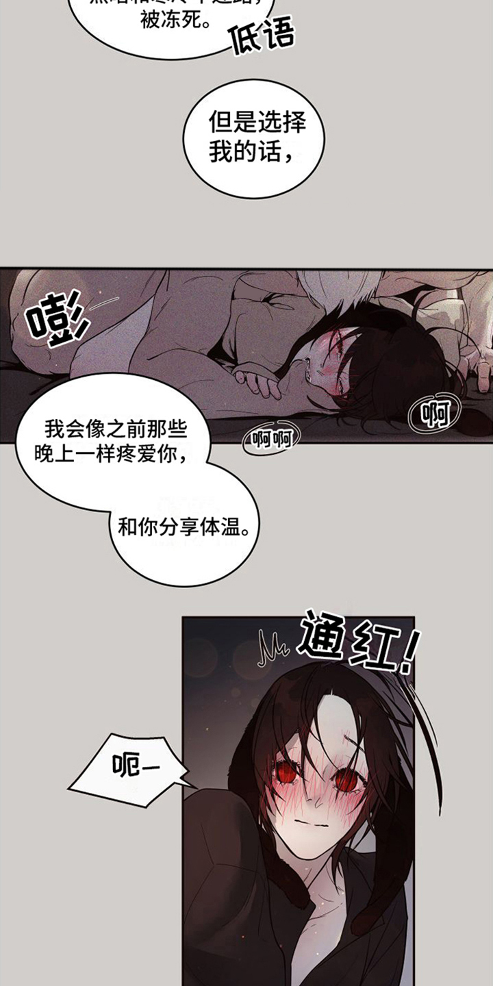 第18章：北极兔：选择权11