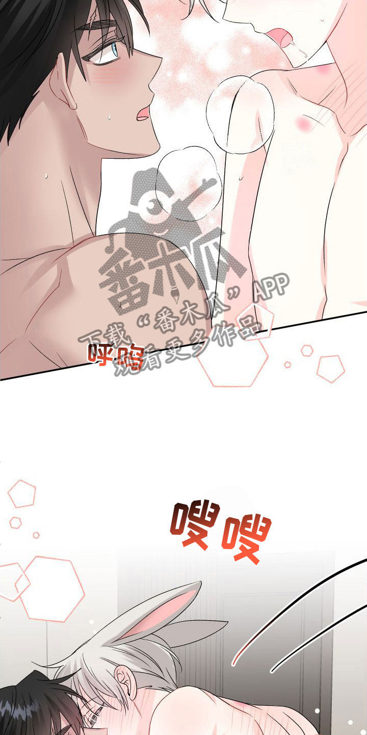 第34章：订婚骗局：真的喜欢【完】13
