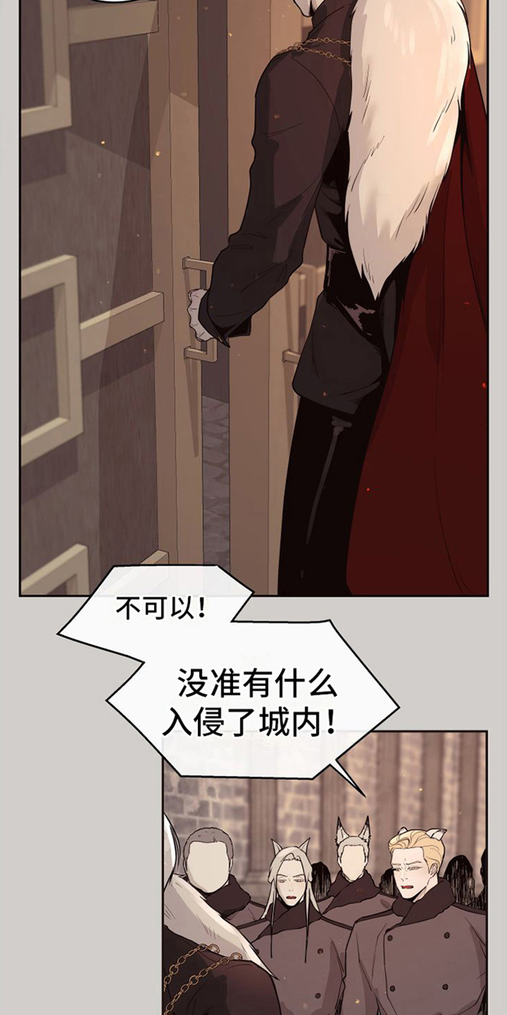 第21章：北极兔：独立处理6