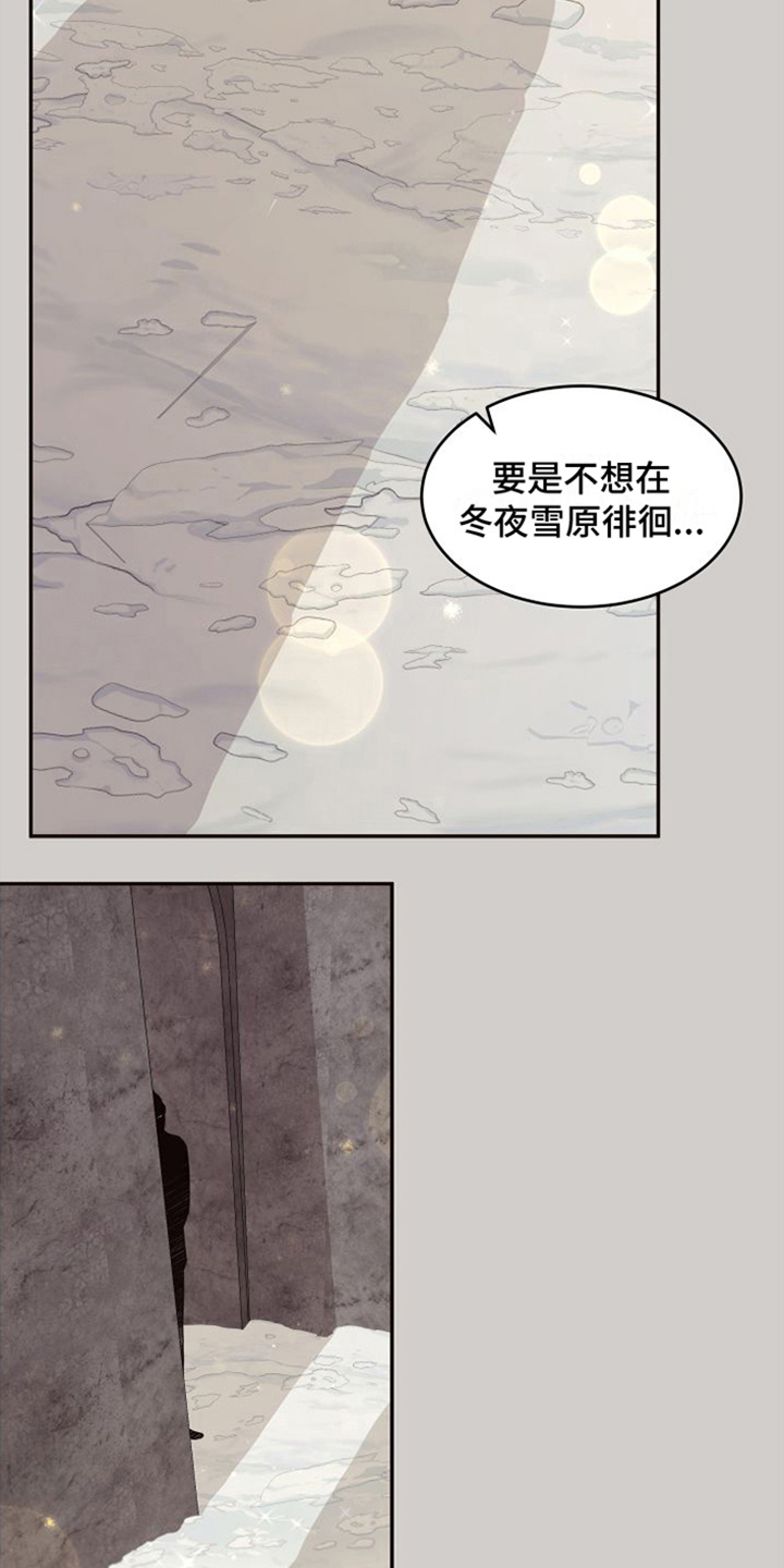 第18章：北极兔：选择权5