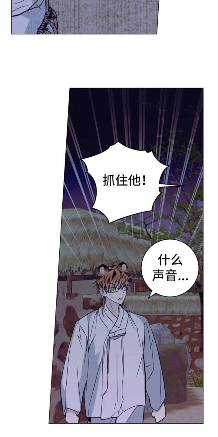 第35章：乱入的老虎：柿饼18