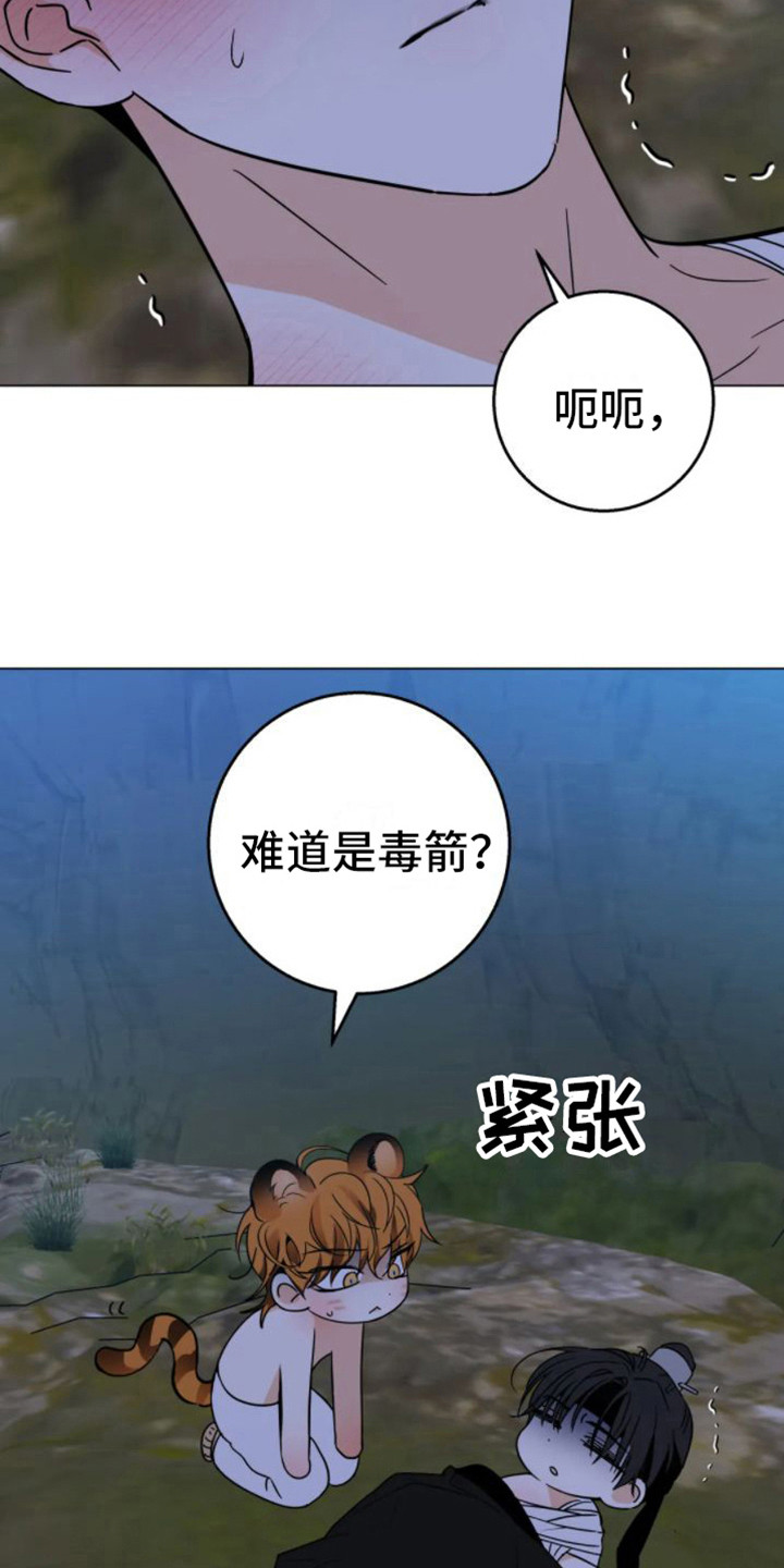 第46章：乱入的老虎：笨蛋2