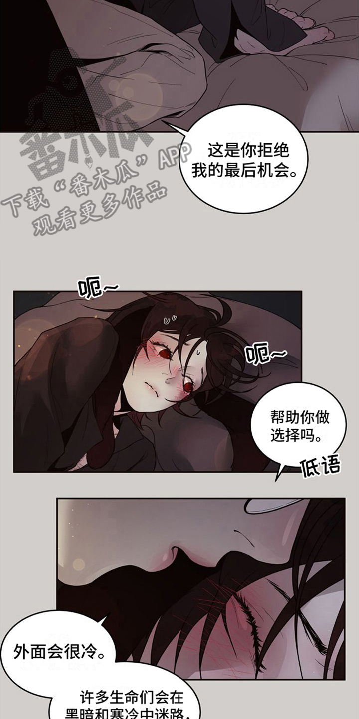 第18章：北极兔：选择权10