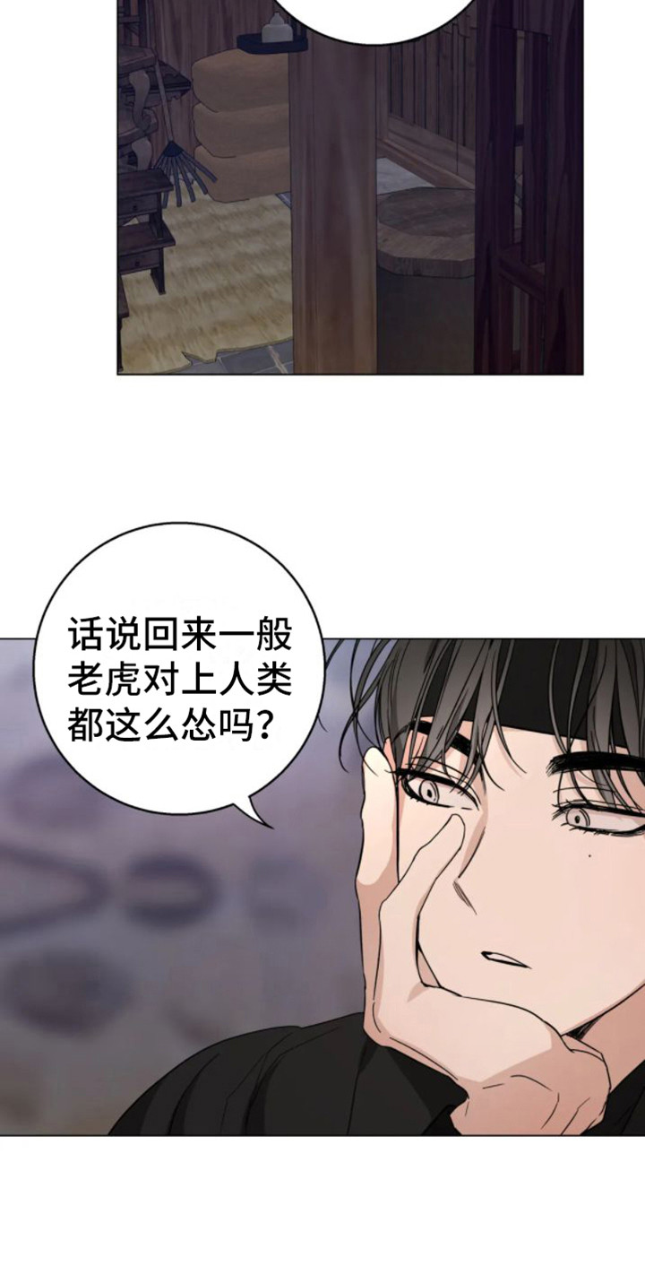 第38章：乱入的老虎：很可怕21