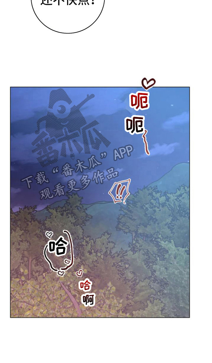 第46章：乱入的老虎：笨蛋16
