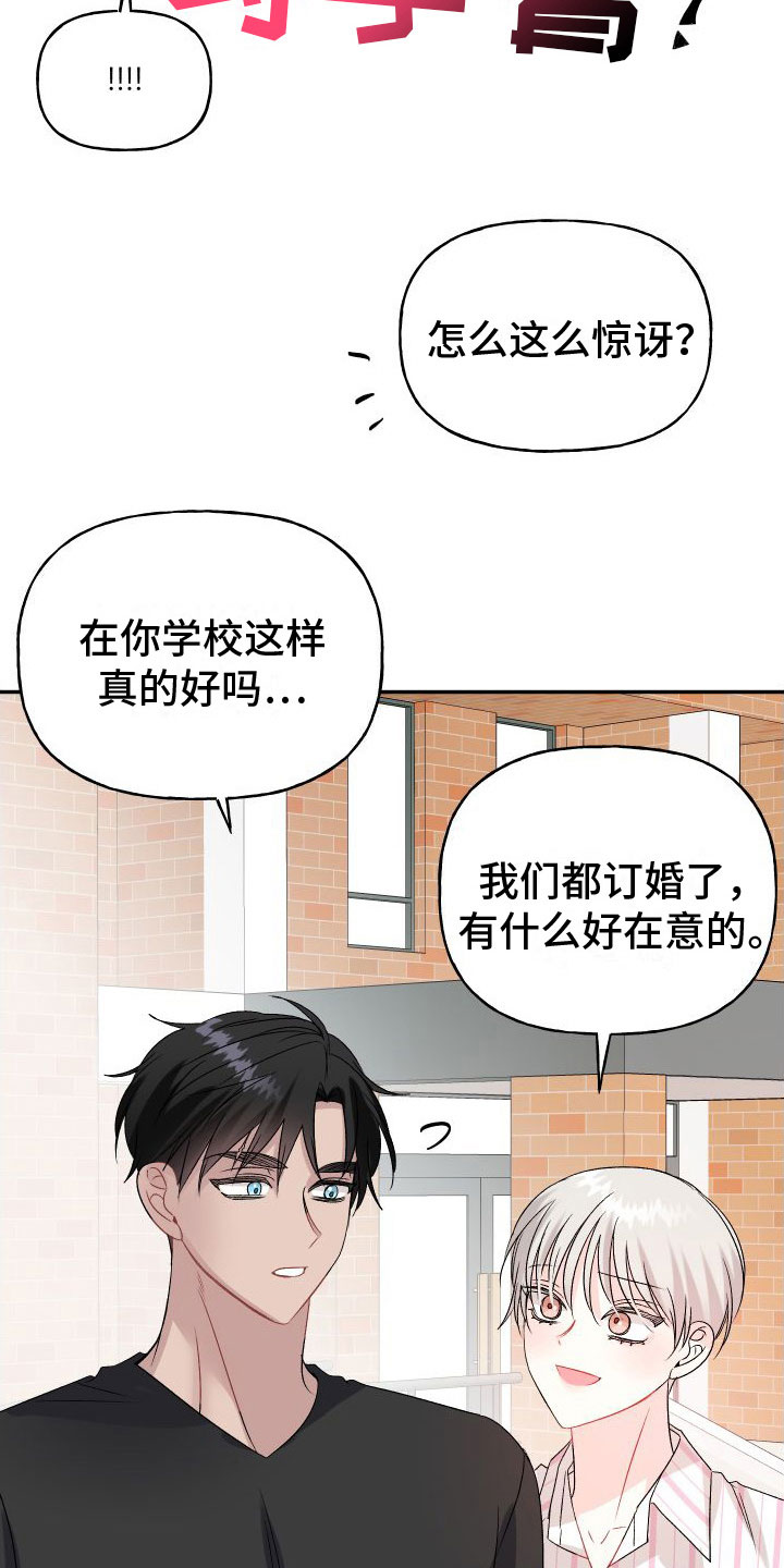 第34章：订婚骗局：真的喜欢【完】29