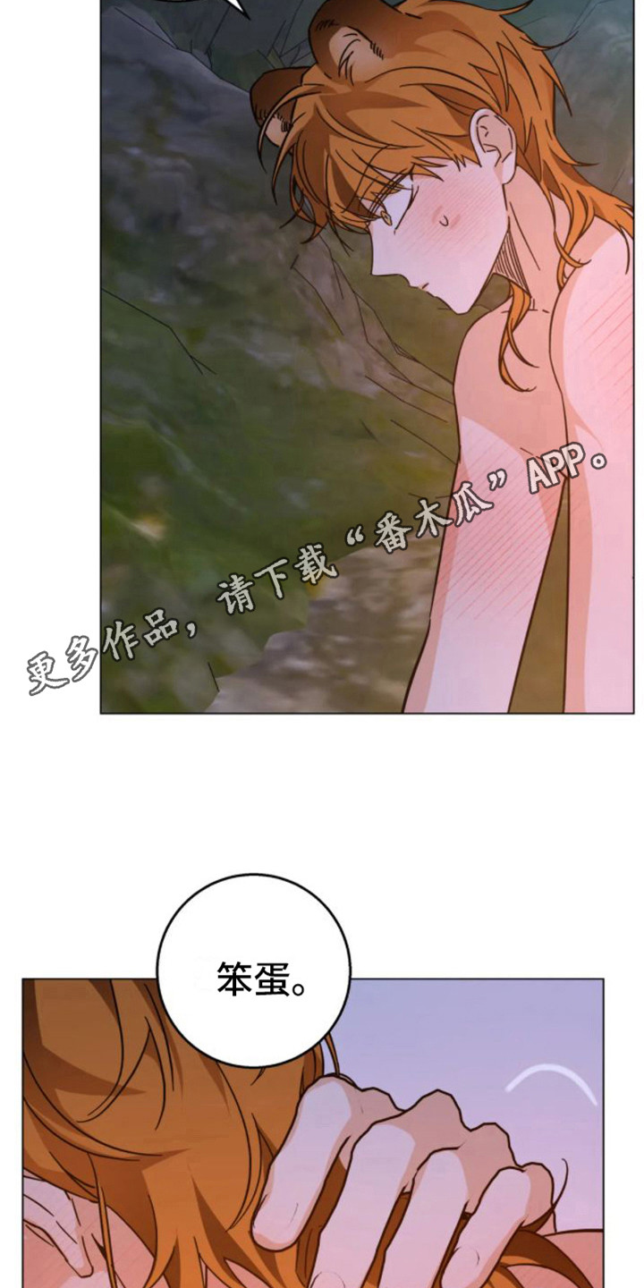 第46章：乱入的老虎：笨蛋10