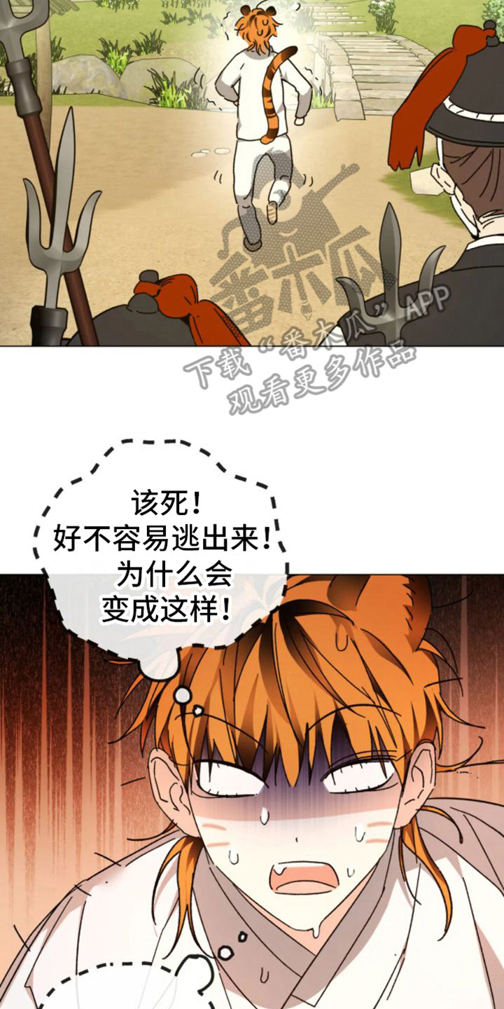 第42章：乱入的老虎：被抓了1