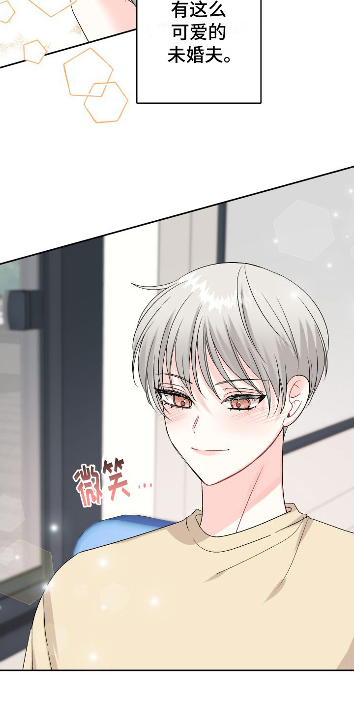第23章：订婚骗局：未婚夫31