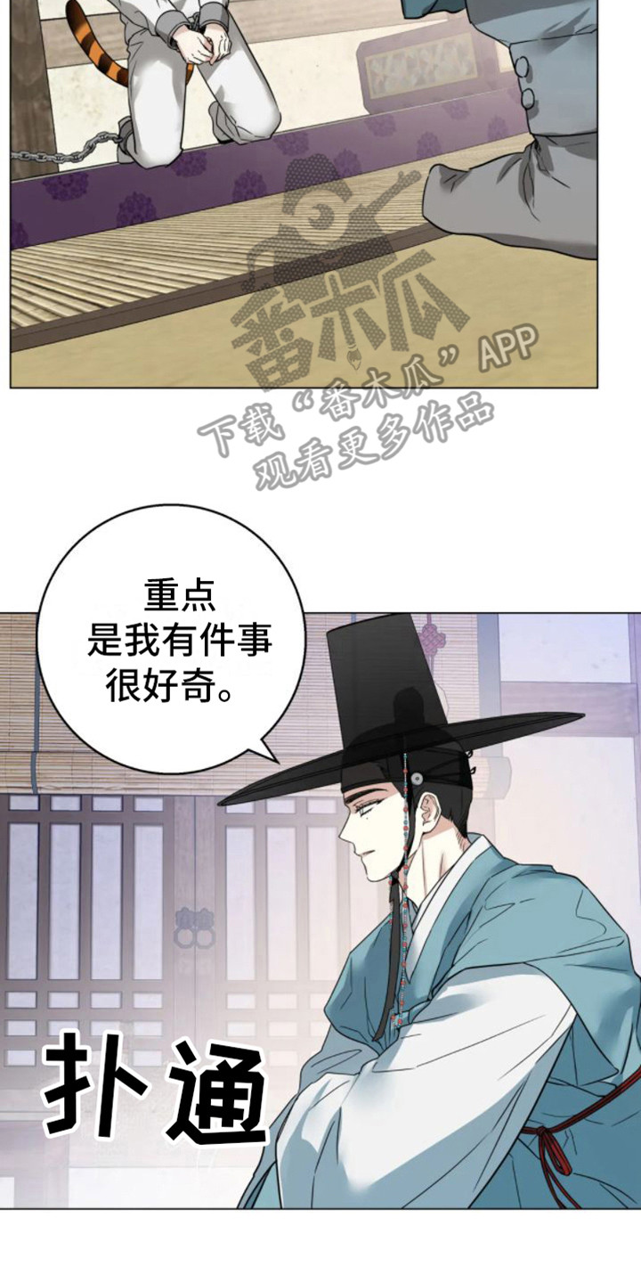 第39章：乱入的老虎：好奇16