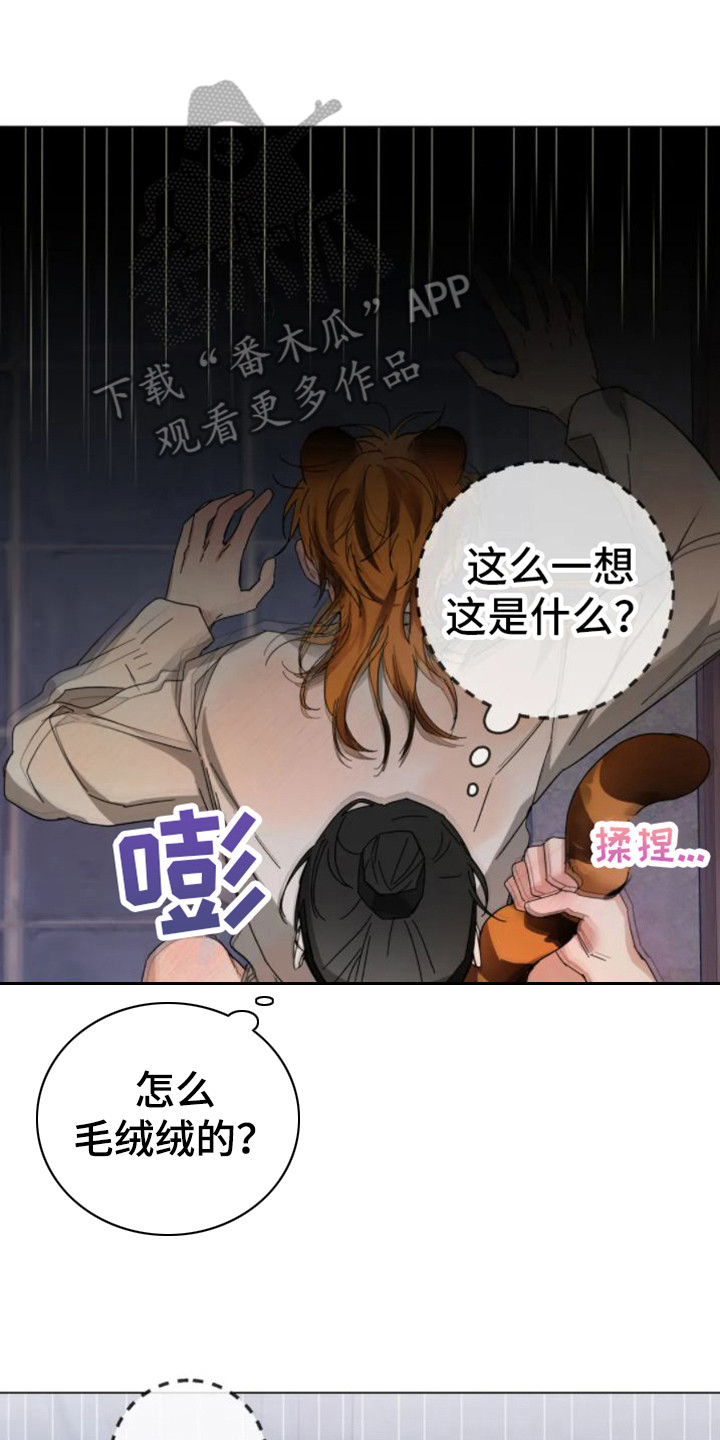 第38章：乱入的老虎：很可怕17