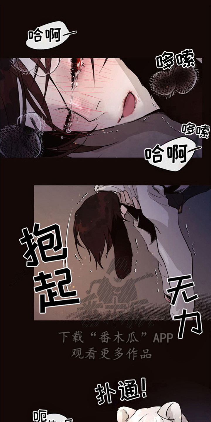 第22章：北极兔：唯一的黑色（完）6