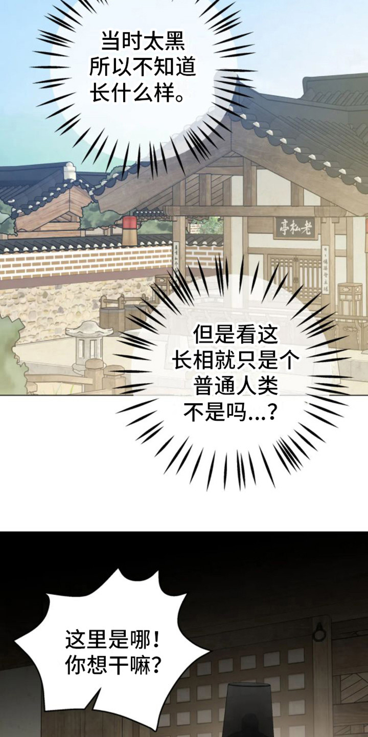 第39章：乱入的老虎：好奇12