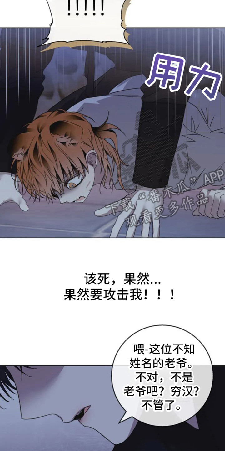 第37章：乱入的老虎：大盗13