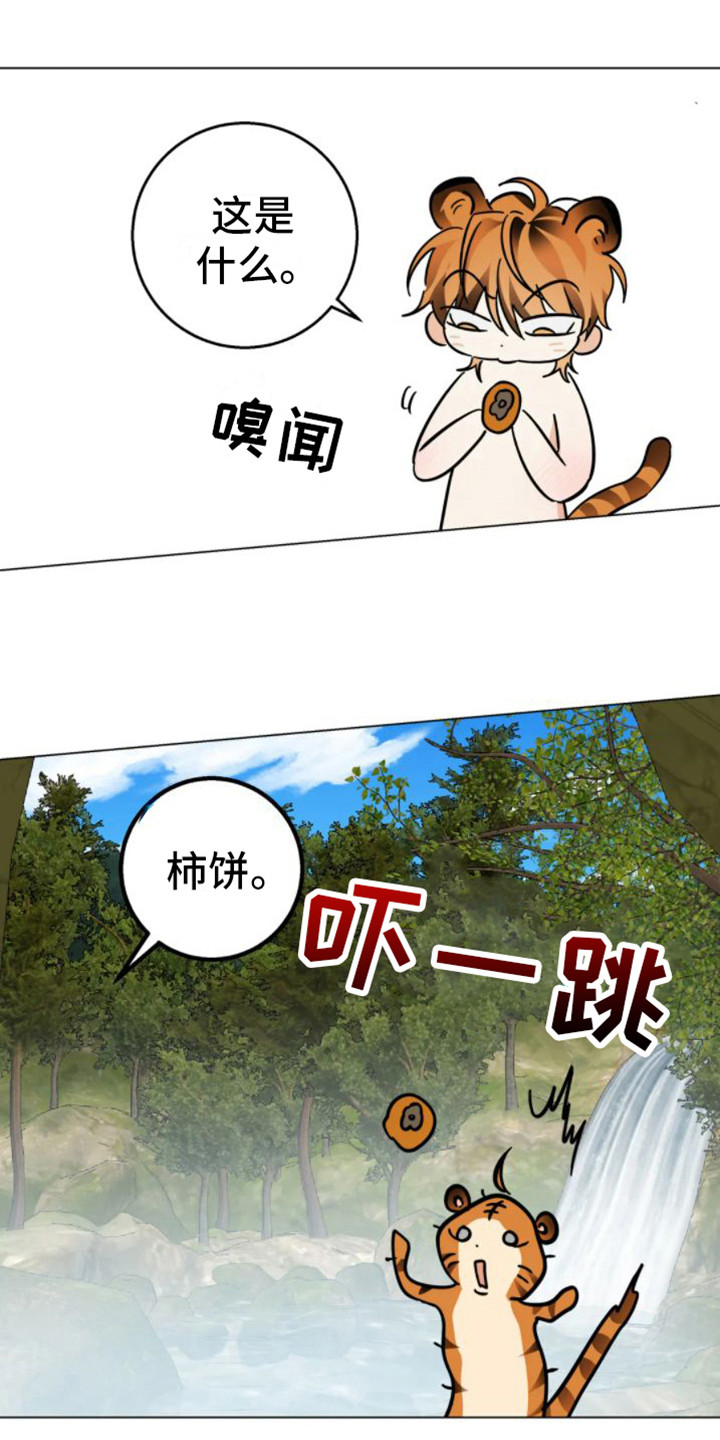 第47章：乱入的老虎：非常甜（完）6