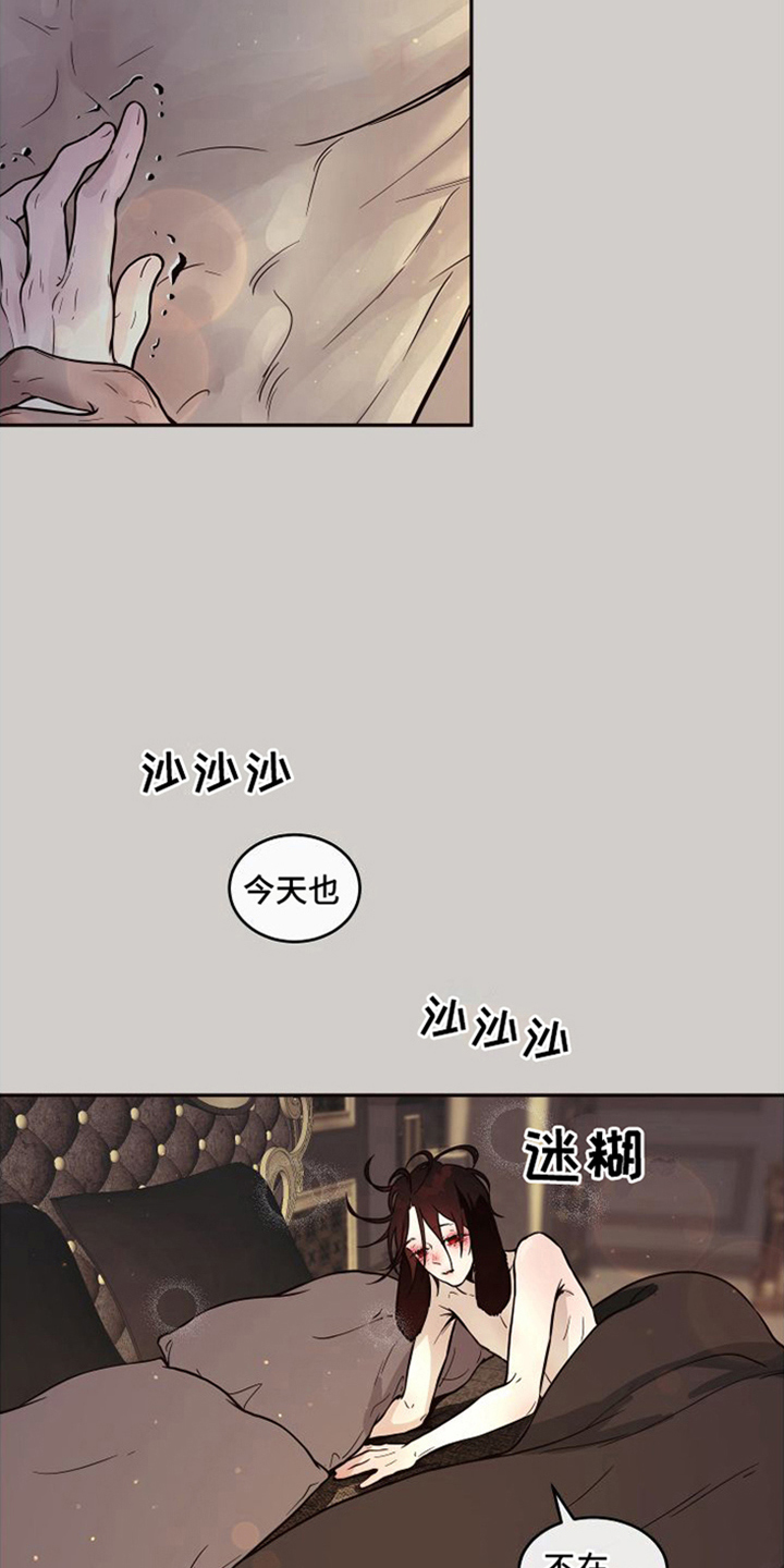 第19章：北极兔：忙碌8