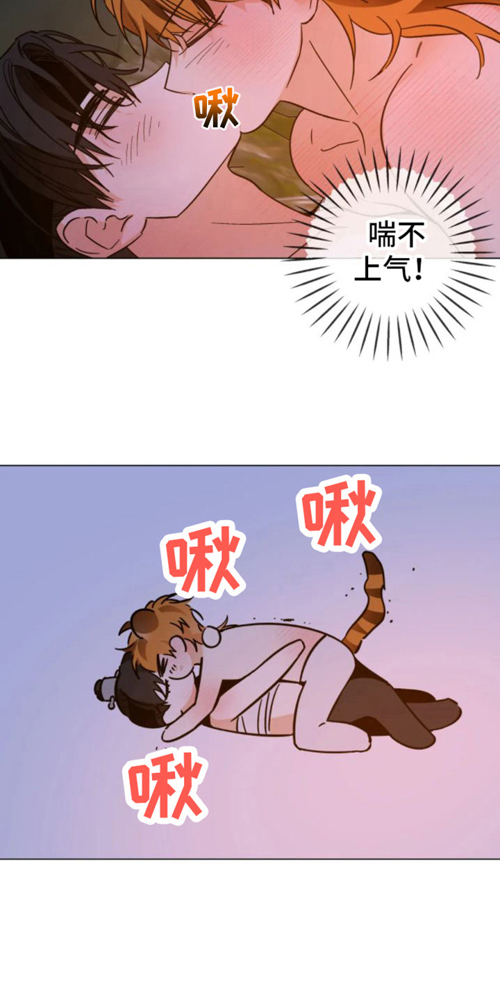 第46章：乱入的老虎：笨蛋12
