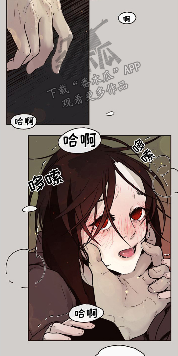 第17章：北极兔：跟随7