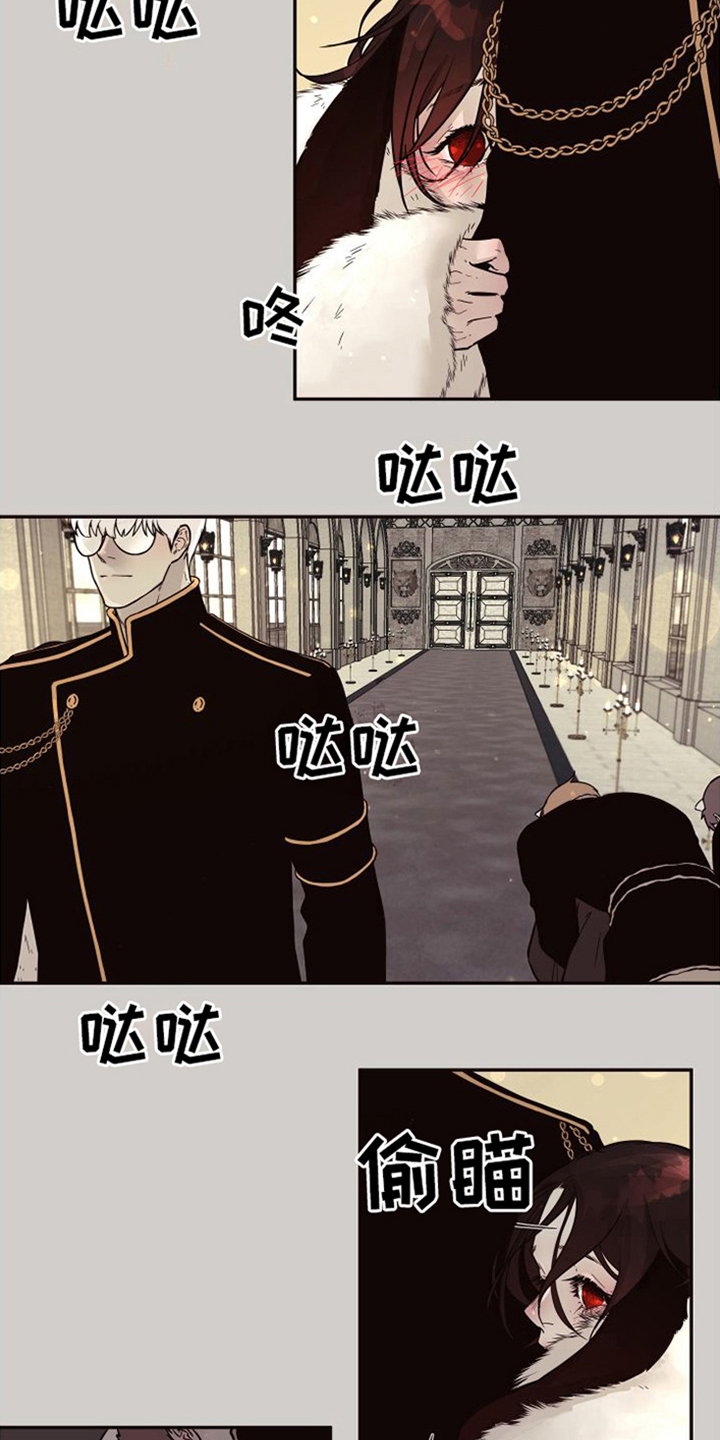 第17章：北极兔：跟随15