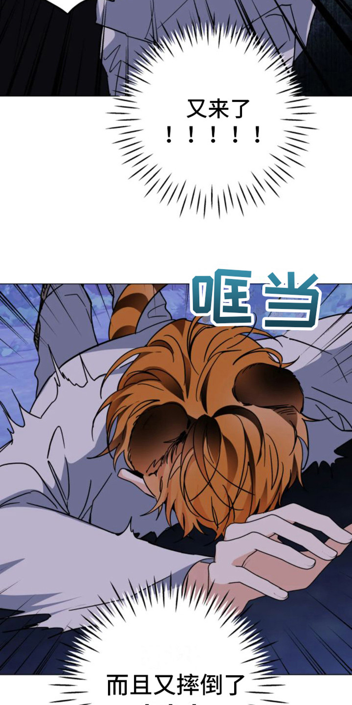 第44章：乱入的老虎：受伤了8