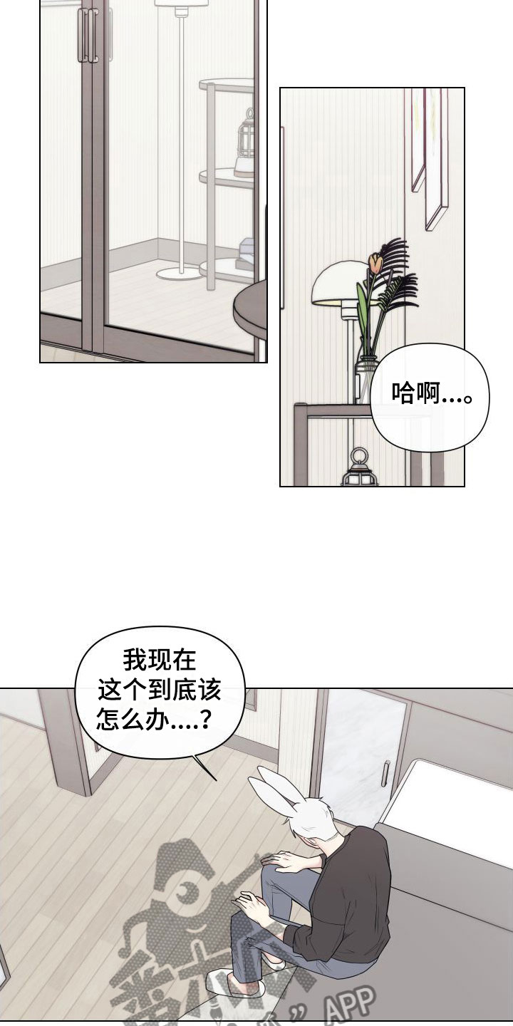 第6章：卡住：兔耳朵19