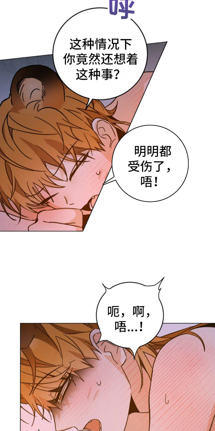 第46章：乱入的老虎：笨蛋14