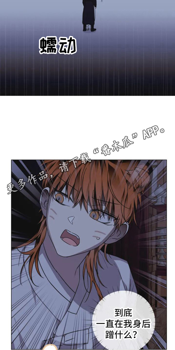 第37章：乱入的老虎：大盗10