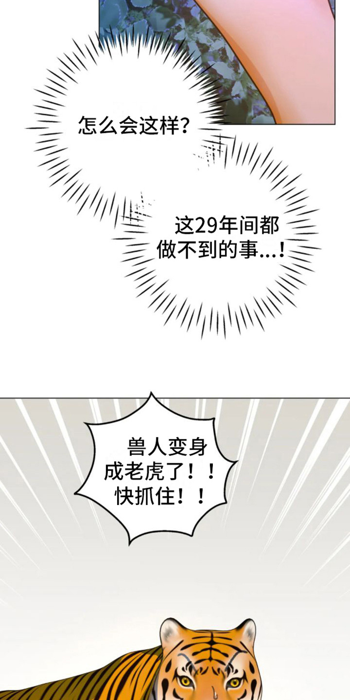 第45章：乱入的老虎：变身12
