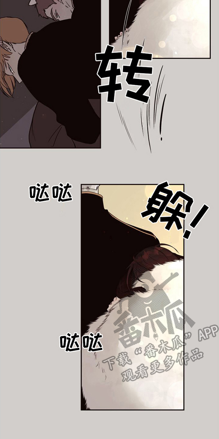 第17章：北极兔：跟随16