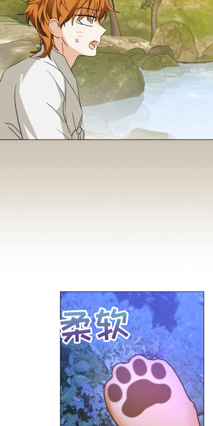 第45章：乱入的老虎：变身11